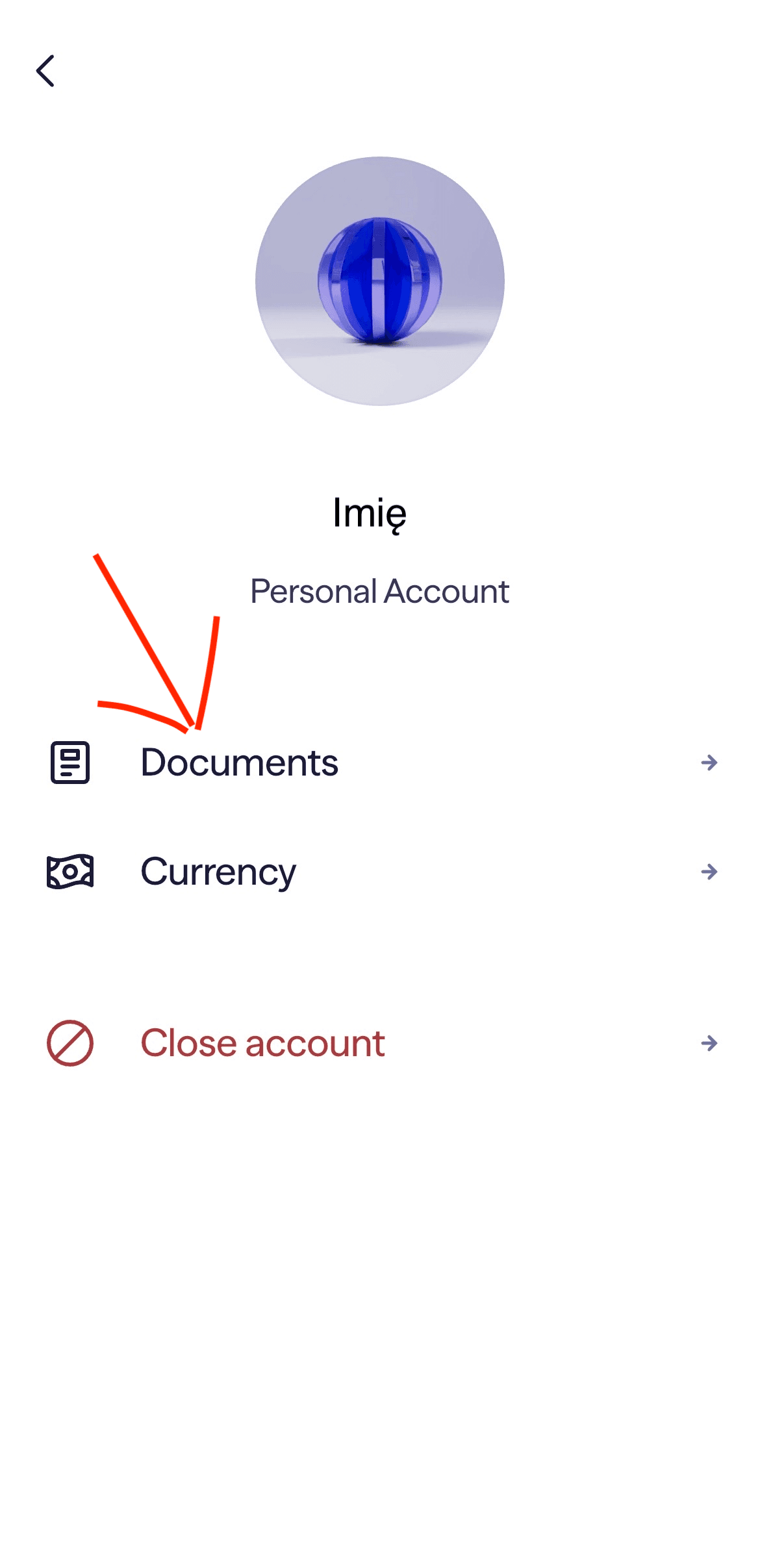 Zrzut ekranu z ustawień konta w Lightyear z zaznaczoną opcją Documents