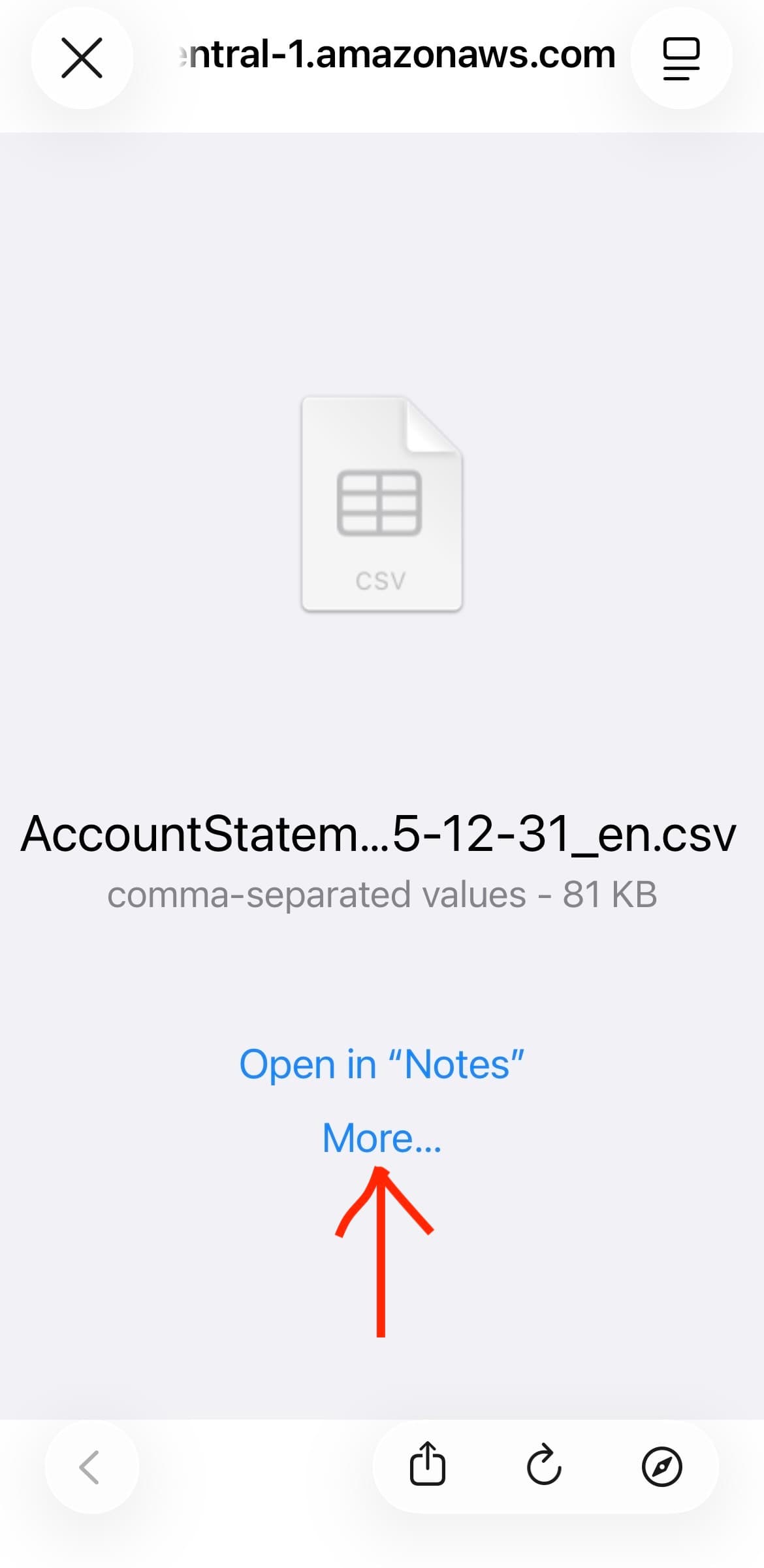 Zrzut ekranu podglądu pobranego pliku CSV z Lightyear z zaznaczonym przyciskiem More