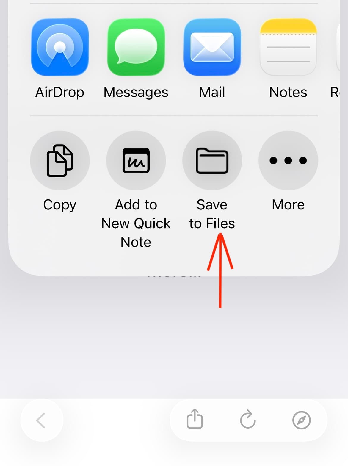 Zrzut ekranu z menu udostępniania na iOS z zaznaczoną opcją Save to Files